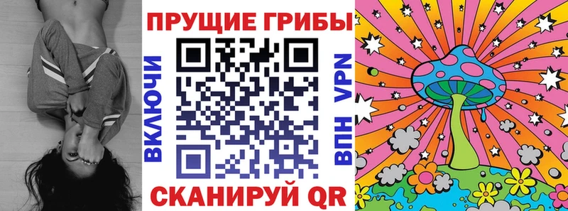 сколько стоит  Краснознаменск  Псилоцибиновые грибы ЛСД 