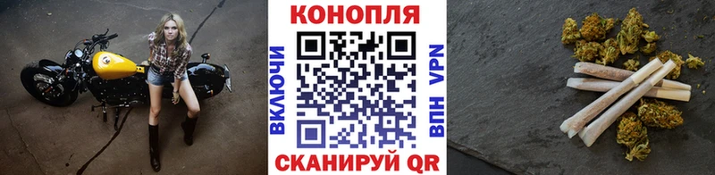 hydra вход  Краснознаменск  Бошки Шишки планчик  закладка 